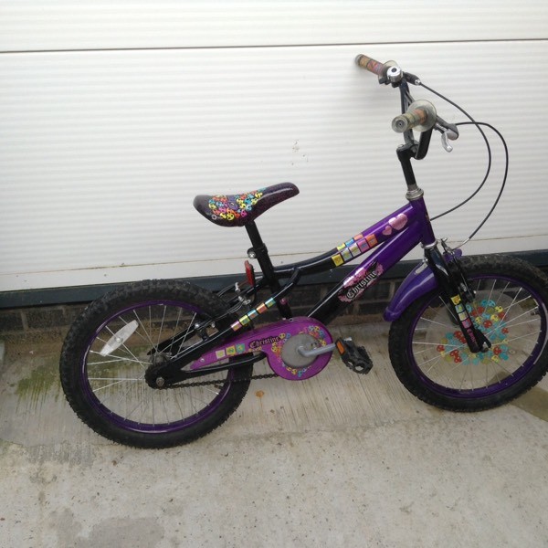 muddyfox bike smyths